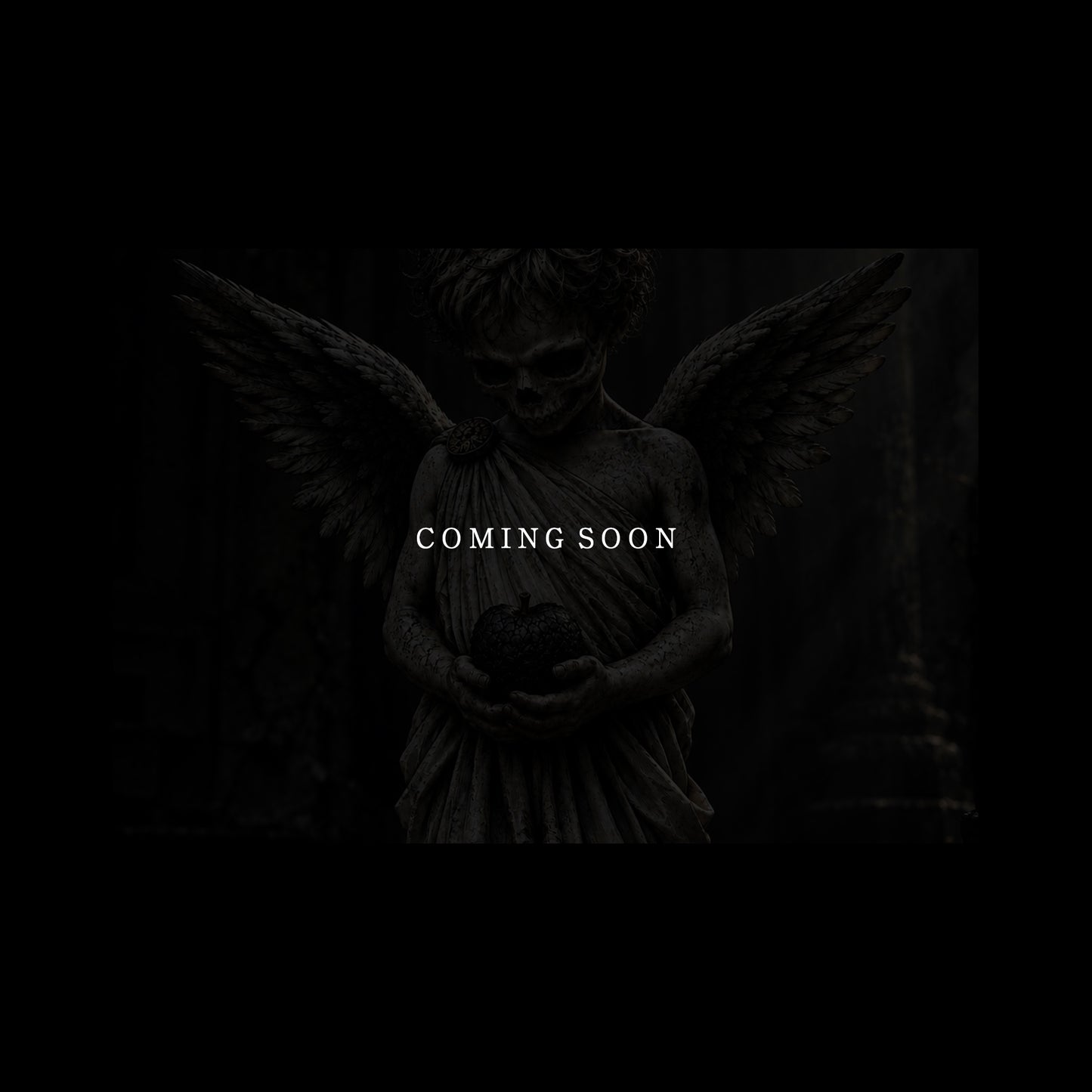 coming_soon_2