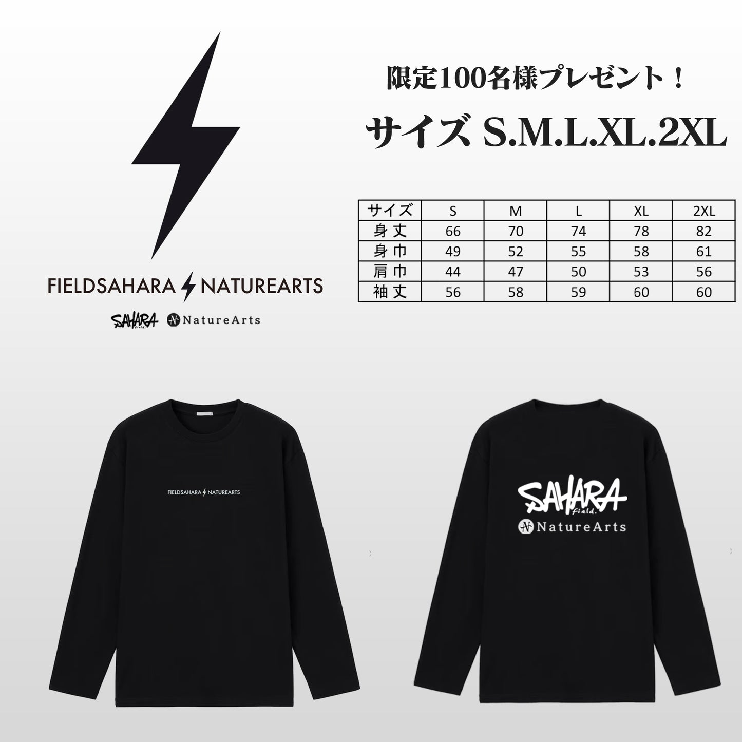 FieldSAHARA × NatureArts Night Room Shell Duoドーム型ソロテント 限定100台 受注販売 - FieldSAHARA