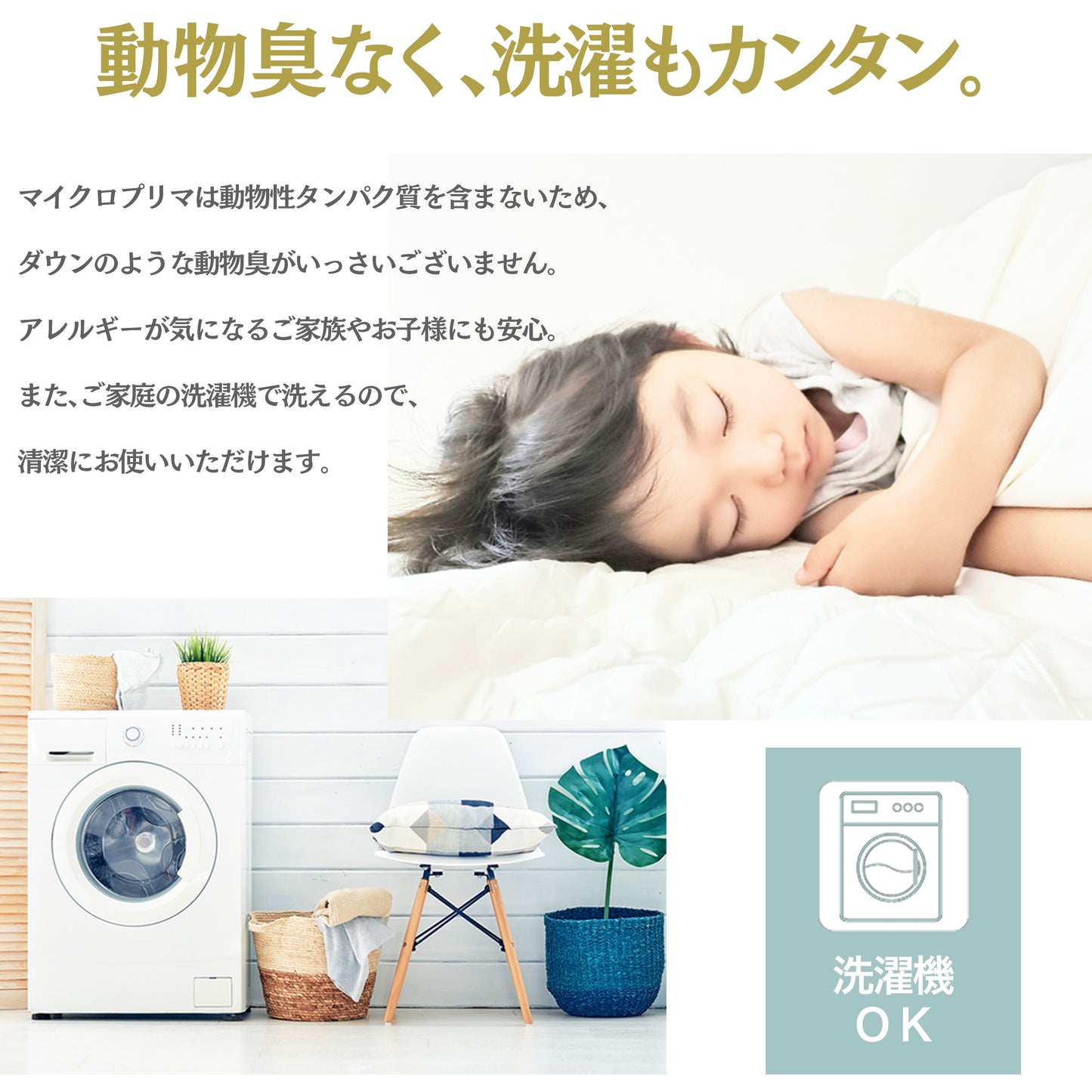 FieldSAHARA Z2500 封筒タイプ ハイエンドモデル 限界使用可能温度 -25℃ (ZEN2500) - FieldSAHARA