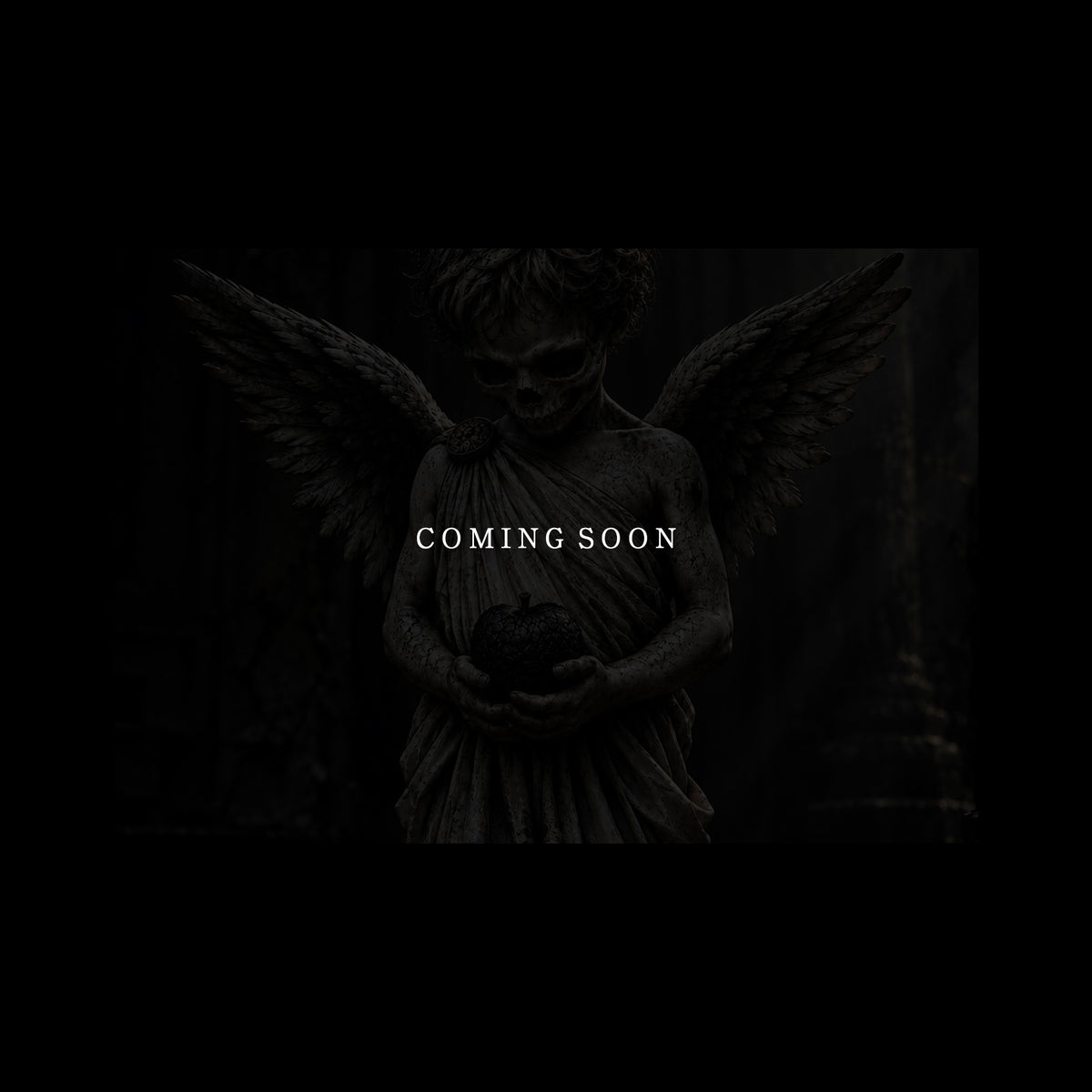 coming_soon_2