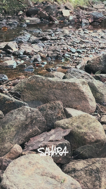 RIPURI×fieldSAHAR コラボ ステンレスブラックボトル 600ml 交換フィルター PROフィルター付き